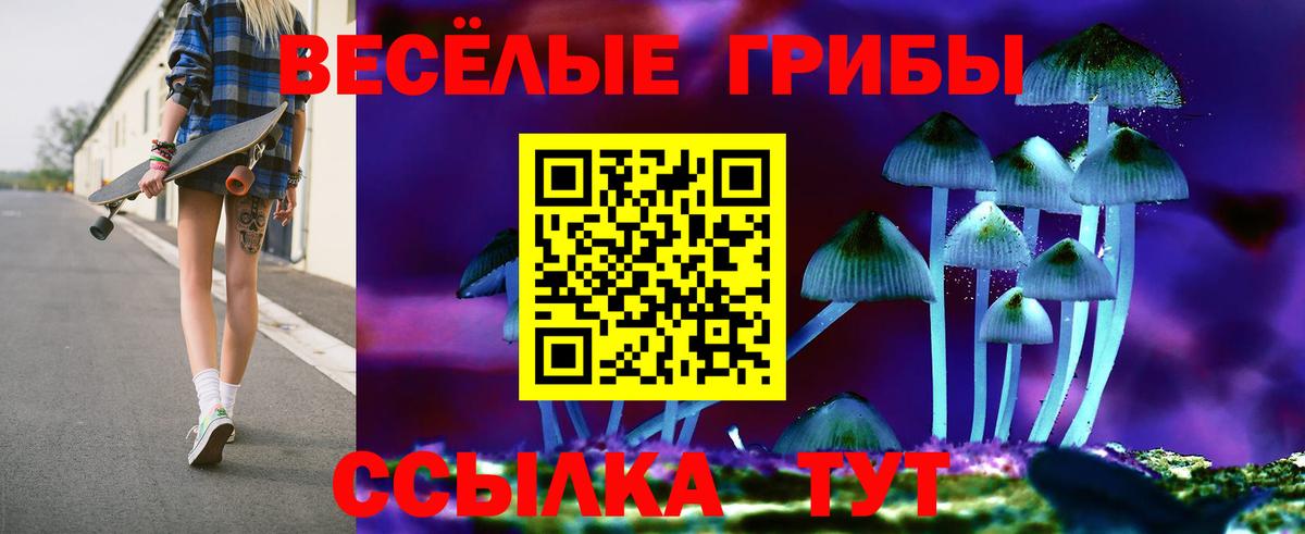 Саянск  Галлюциногенные грибы GOLDEN TEACHER  Псилоцибиновые грибы Psilocybe  Вход с VPN 