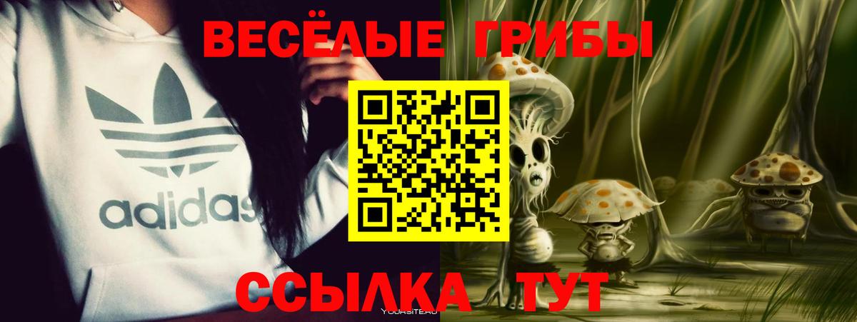 Галлюциногенные грибы Psilocybine cubensis Саянск